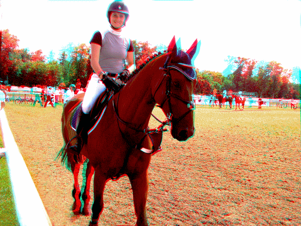 chantilly_jumping_edwina_tops_alexander_leprvost_whitaker_athina_onassis__miranda_bengtsson_pnlope_beerbaum_ludger_schwitzer_kraut_doda